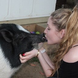 Welcome to my ARK, a place for all animal lovers who want to make a change.