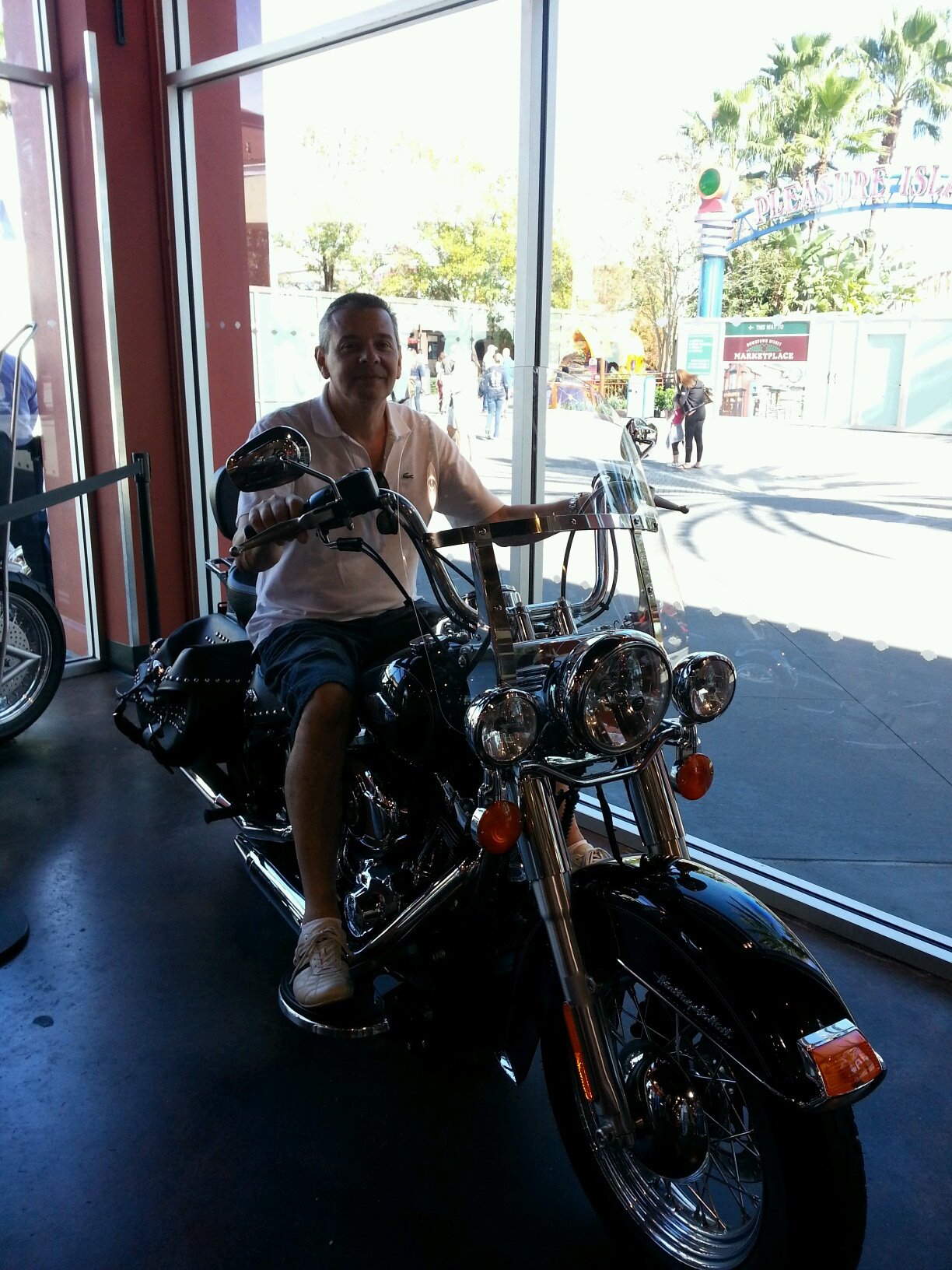 fercognigni's profile picture. 