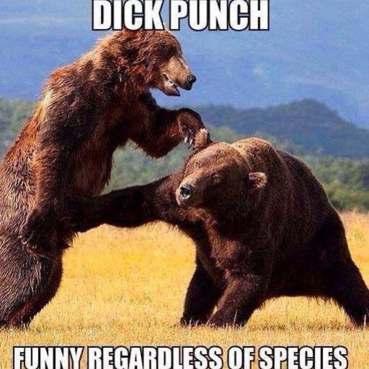 dendlac's profile picture. 