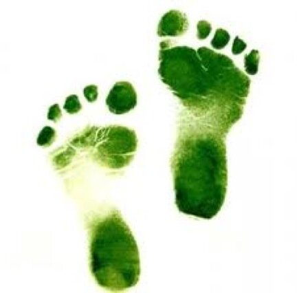 Learn simple ways to make your life more eco-friendly! #gogreen