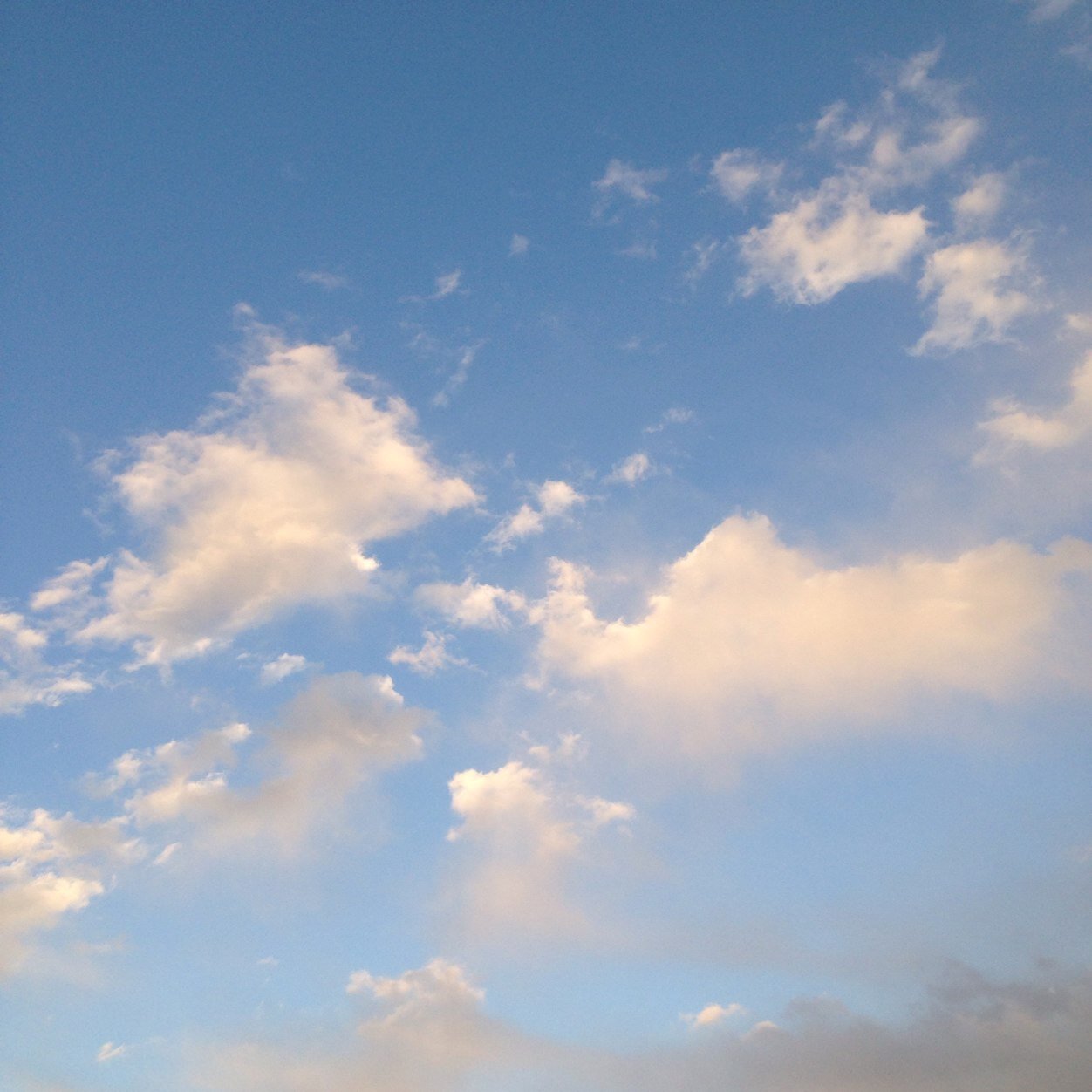 空画像 So Sky Ra Twitter