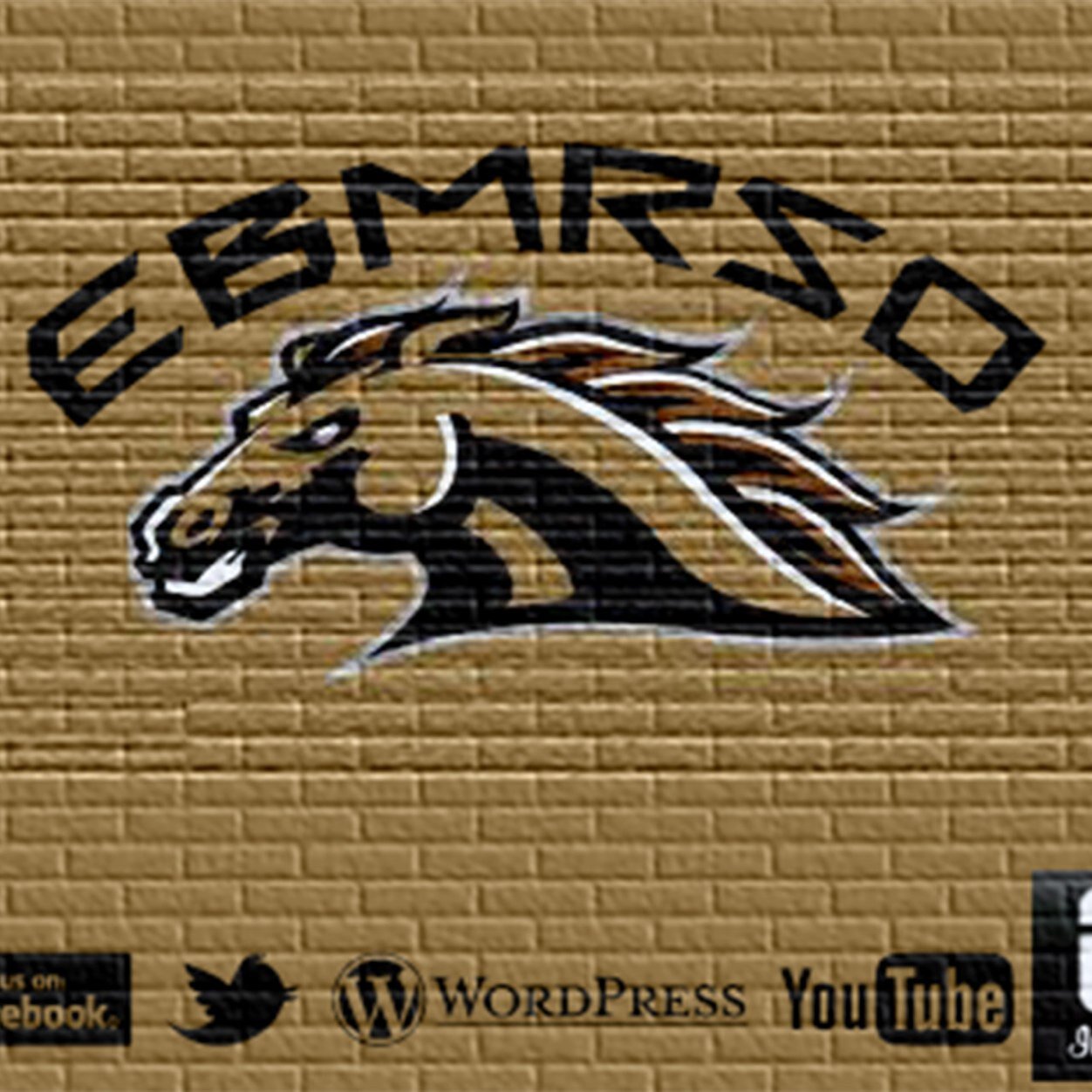Web Development•Social Media Management•Internet Marketing•Registered Student Organization at WMU devoted to EBusiness Marketing