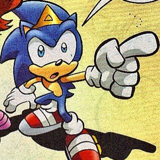 Hey there! My names Manik! Well, it's Prince Manik Acorn to be exact! I'm also the son of the world's legendary hero, Sonic the Hedgehog! *RP*