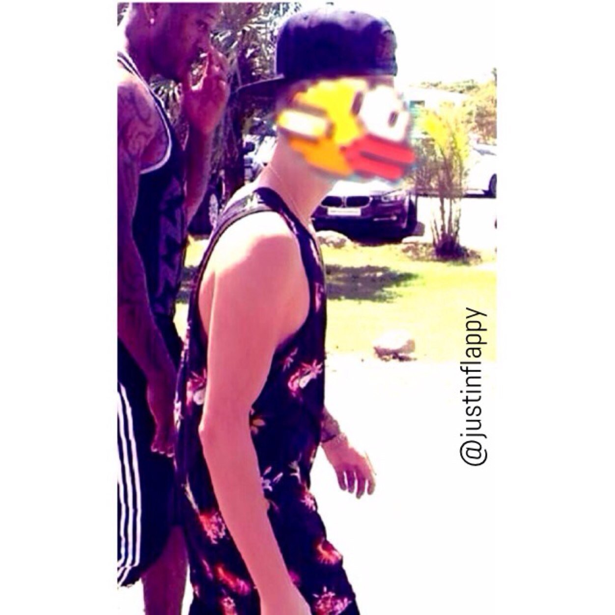 Im a flappy bird, in a flappy world.. Life is flapstic, Its flaptastic.