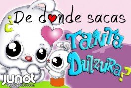 Piropos: Frases de Amor, conquista, halago, sigo a los que me siguen