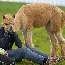 Stunning pictures captured at the opportune moments.