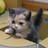 taroh77's profile image