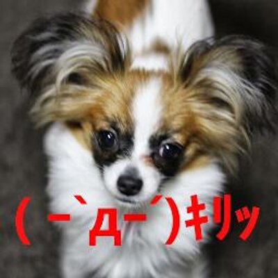 コーセー