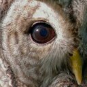 Nancy Weller - @nweller54 - Twitter