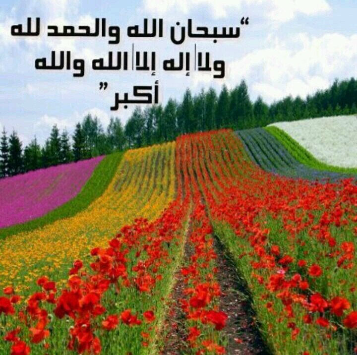 اللهم صل وسلم على نبينا محمد