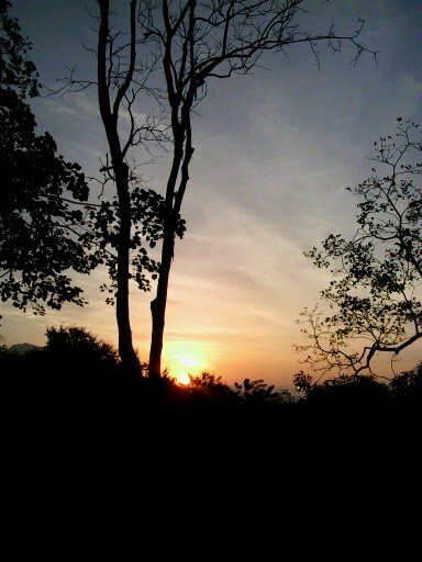 rhabay's profile picture. una buscadora de Dios. Naturista. Vegetariana. Lic.Quimica UCV. medicina natural