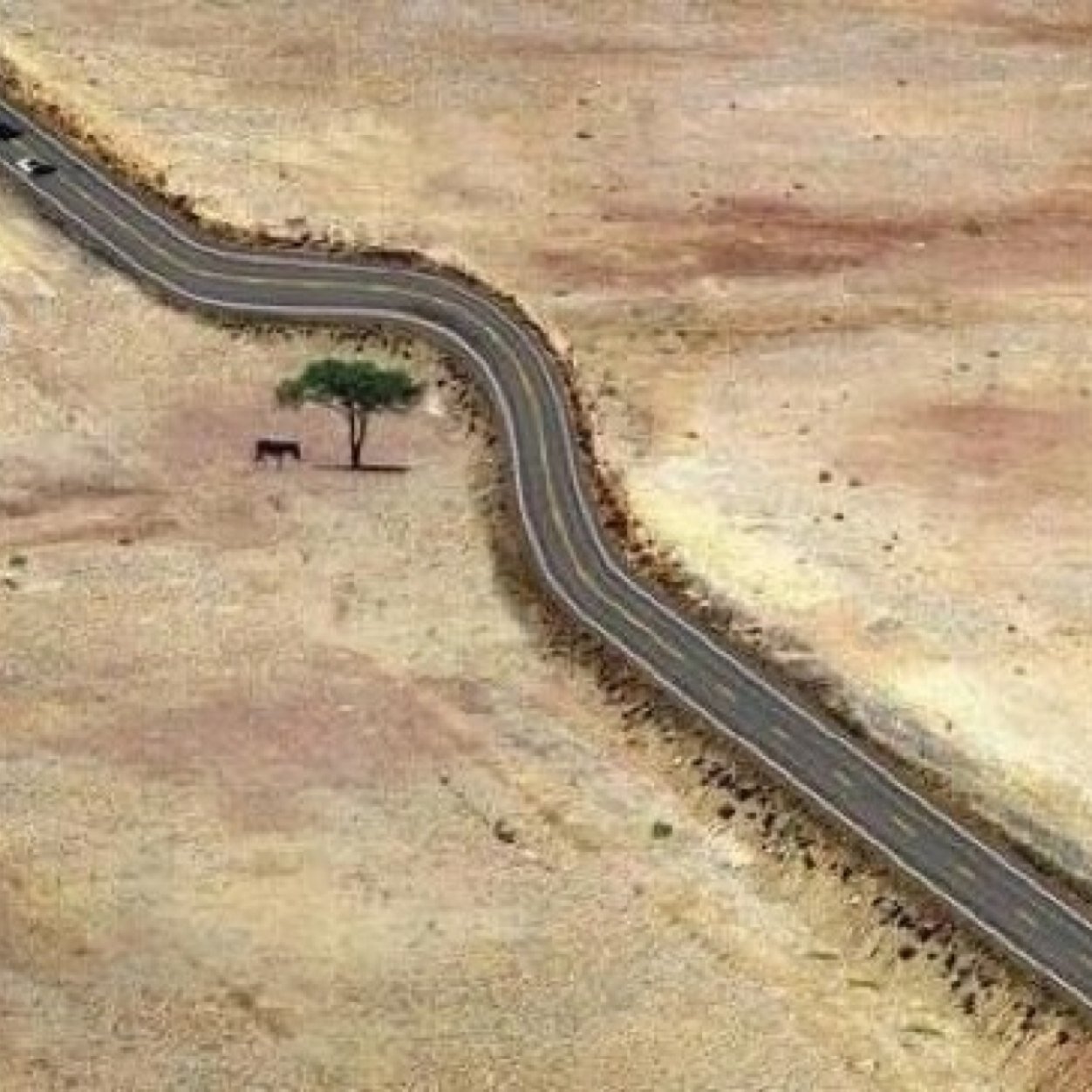 navarrete_alex's profile picture. Estudiante de Derecho UNAM  . libre pensador existencialista . sigueme & Te Sigo. AMO VIVIR Y REIR :) DF-TECOZAUTLA HIDALGO