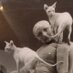 👁🗨😶🌫️🤫🫥👁🗨 (@_hairlesscats) Twitter profile photo 👁🗨😶🌫️🤫🫥👁🗨 (@_hairlesscats) Twitter profile photo
