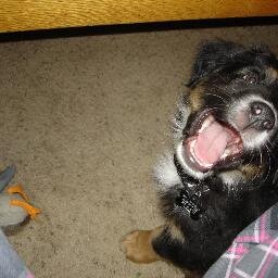 albumspin's profile picture. 