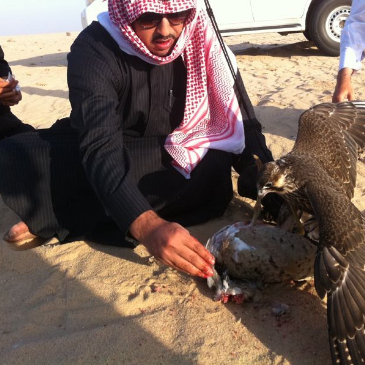 soud_althani's profile picture. 