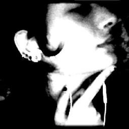 pisces. music. nature. good vibes