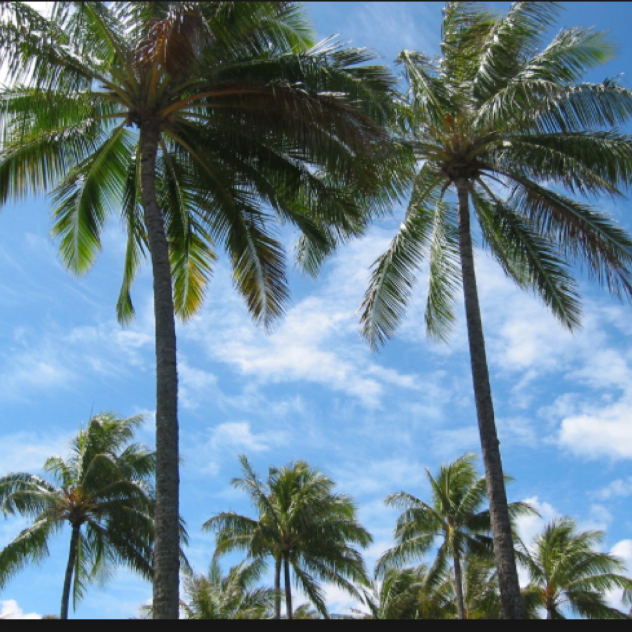 Sky423799's profile picture. 