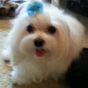 Annette - @Annette_Bush - Twitter