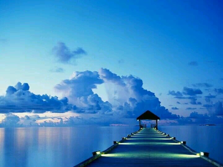 Carpe diem!!
