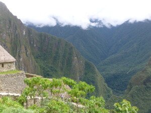 itotmssommarger's profile picture. 