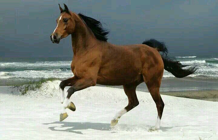 cjdgk0821's profile picture. 대한민국의 기생충 좌빨새끼들 박살내기