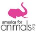 America for Animals (@america4animals) Twitter profile photo America for Animals (@america4animals) Twitter profile photo