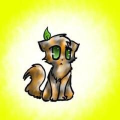 small calico, blue eyes (Clan: BlazeClan) (Theme song: Behind these hazle eyes) (Rank: Warrior) #Female #Single