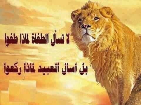 هناك اشخاص يقولون اقوالا رائعه 
                                    ويفعلون اشياء مروعه
اللهم ردنا اليك ردا جميلاواحفظنا من غلبه الدين وقهر الرجال..امين