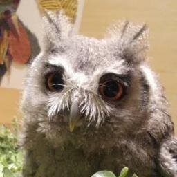 janjan7878787's profile picture. 