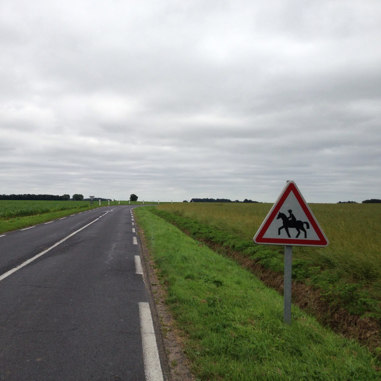 FannyBdC's profile picture. 