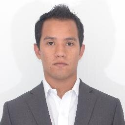 Publicista