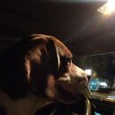 buddy singh - @buddysingh4 - Twitter