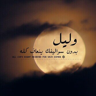 ali1551433's profile picture. 