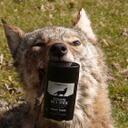 Steve Frye - @SFcustomcalls - Twitter