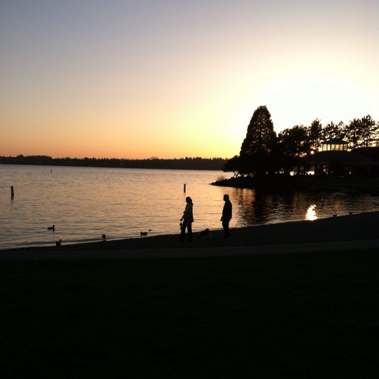 srhadreas's profile picture. 