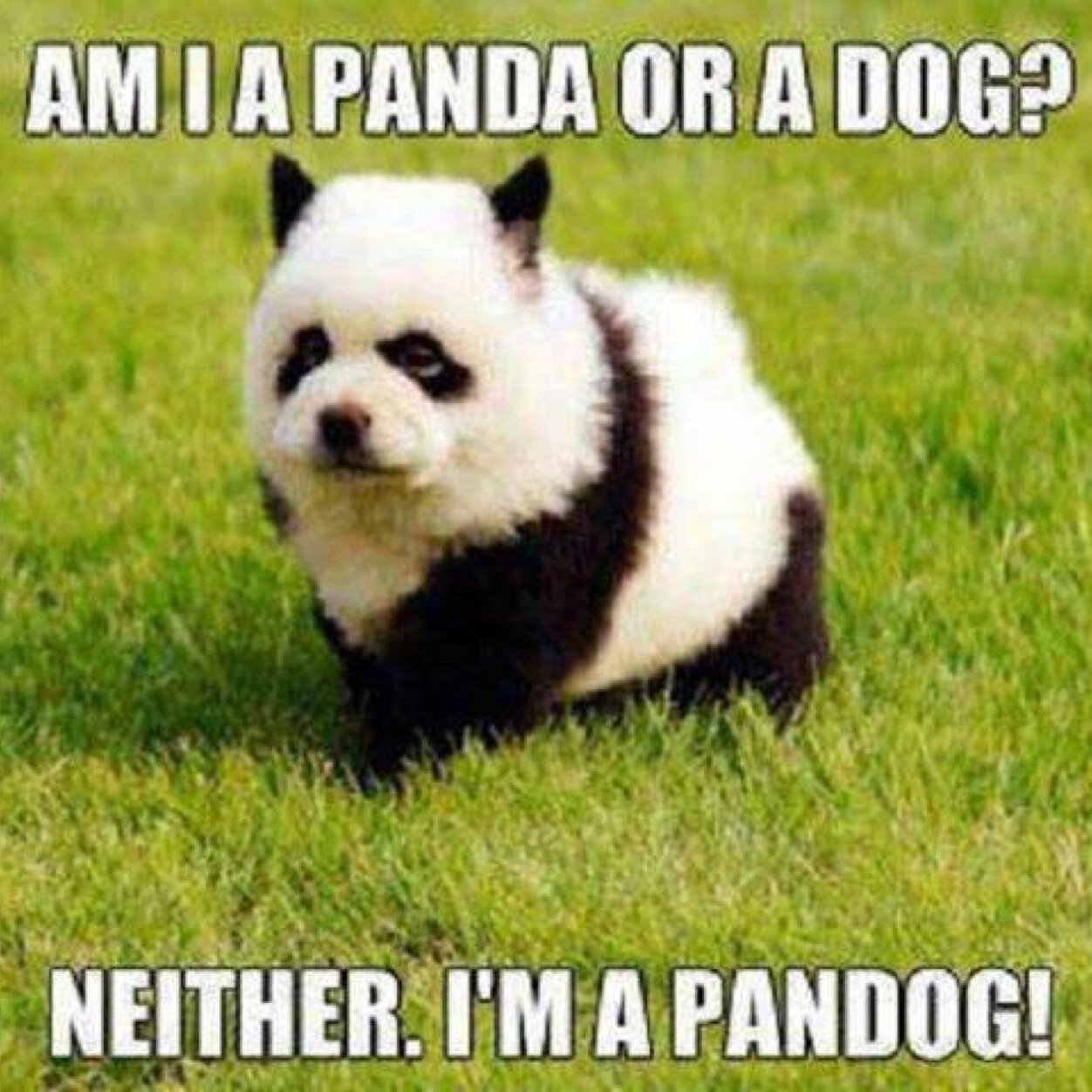 ZachGoebs's profile picture. If you really know me then there's nothing I need to write here.