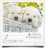 ainisalshabilaa's profile picture. follback by:admin......oke