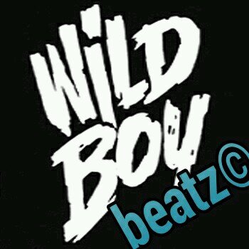 producer/songwriter first 4 beats free then after that their 7 a piece, real genuine custom beats