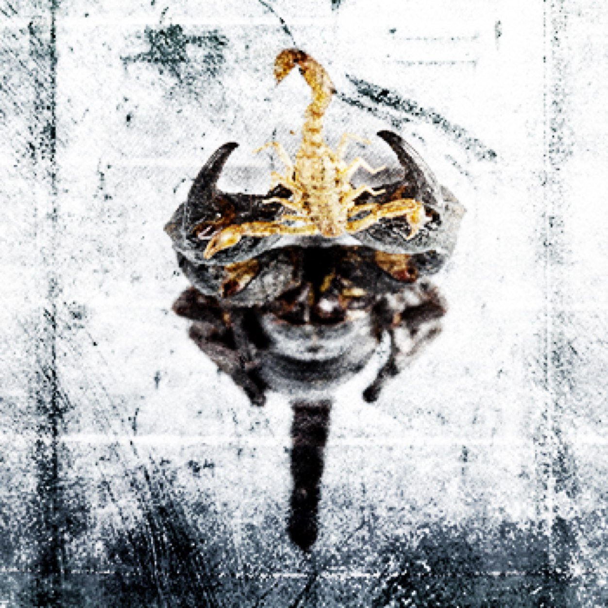 Metal/Deathcore band from Tacoma, WA. Check out our single on bandcamp!
