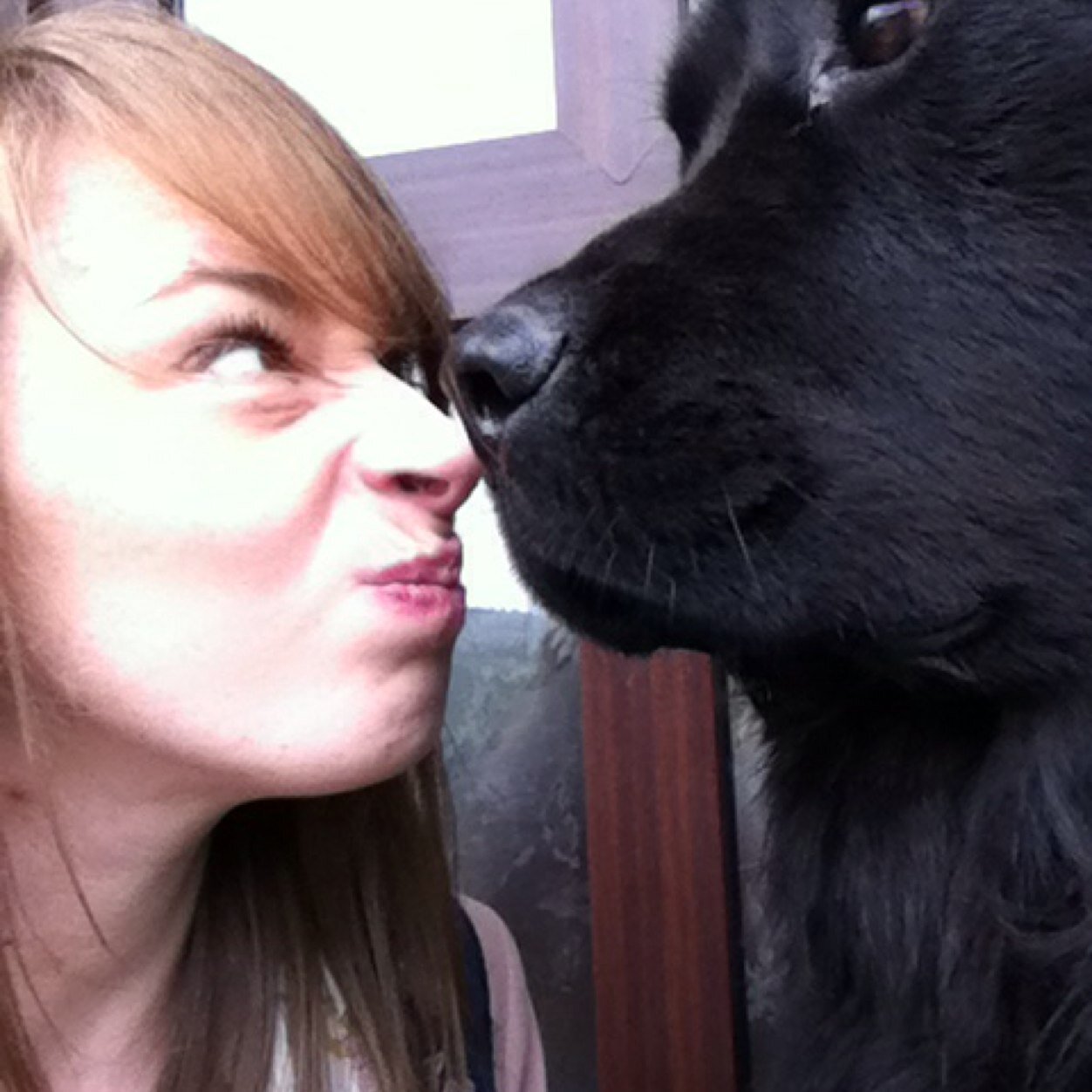 JulieSLT's profile picture. NQ SLT. I have just created an SLT Skills for Graduates site for Birmingham City University. I am now in search for a clinical SLT position in Australia :)