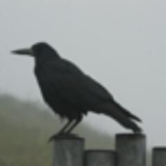 http://t.co/8481ymbMLH
