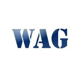 WorldAuditGroup's profile picture. The World Audit Group