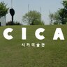 cicamuseum's profile picture. Czong Institute For Contemporary Art