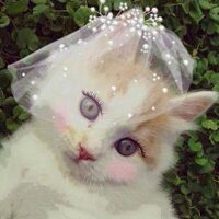 demet aydın (@demet260) 's Twitter Profile