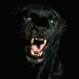 Gwarez (@alejaouan) Twitter profile photo Gwarez (@alejaouan) Twitter profile photo