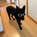 Matt Steeves - @MSleeves - Twitter