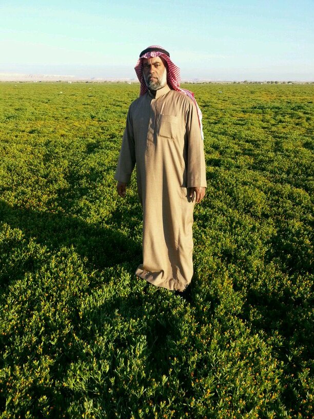 سبحان الله وبحمده