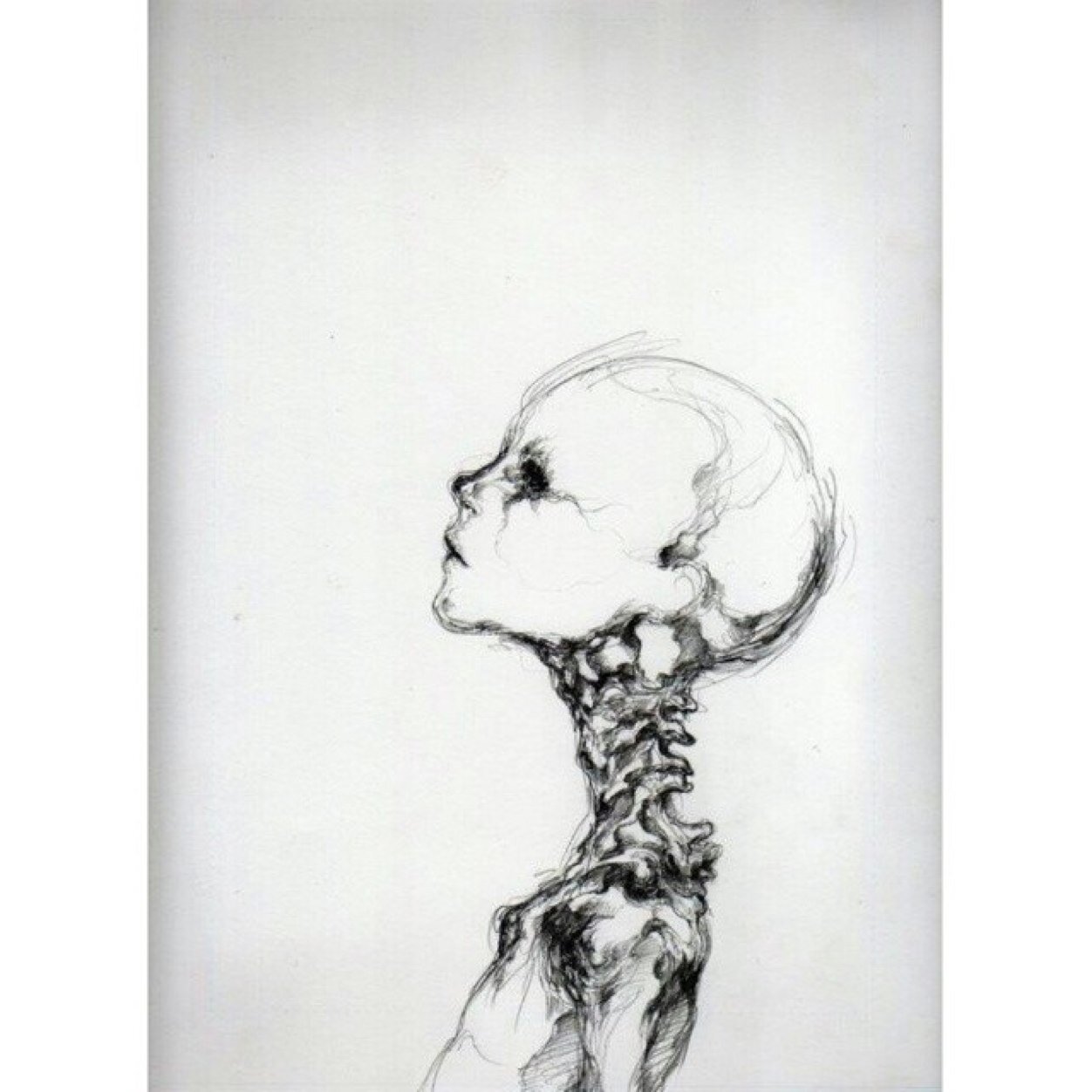 0hsuicide's profile picture. Welcome to my insane mind.