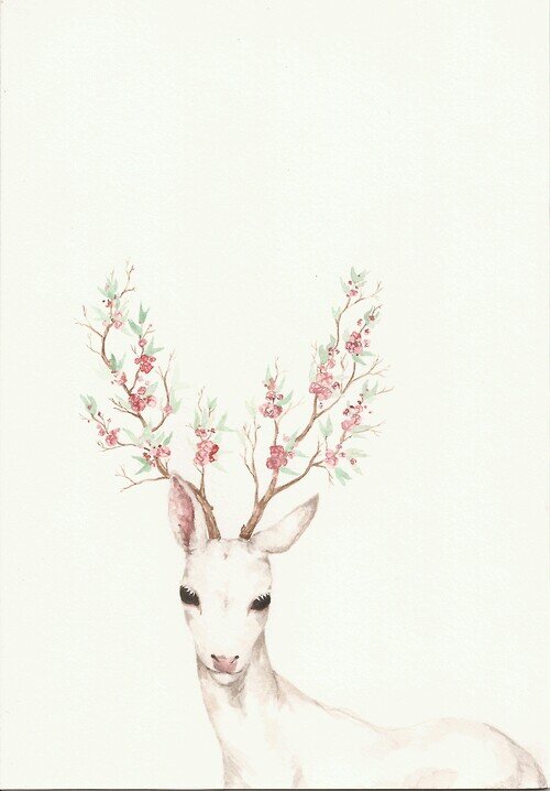 sasr20's profile picture. 