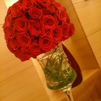 Salma Alsedrah (@salsedrah) Twitter profile photo